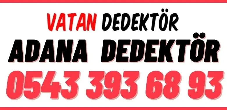 Adana Aladağ Dedektör | Vatan Dedektör | Dedektör Fiyatları 2022 1 adana-aladag-dedektor