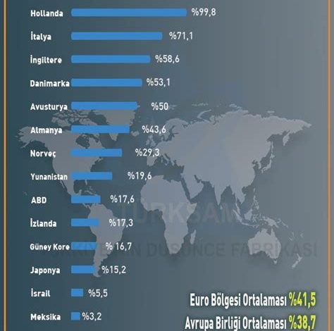 Dedektör Fiyatlarındaki Artış ve Azalışların Analizi 2024 1 Dedektör Fiyatlarındaki Artış ve Azalışların Analizi 2024
