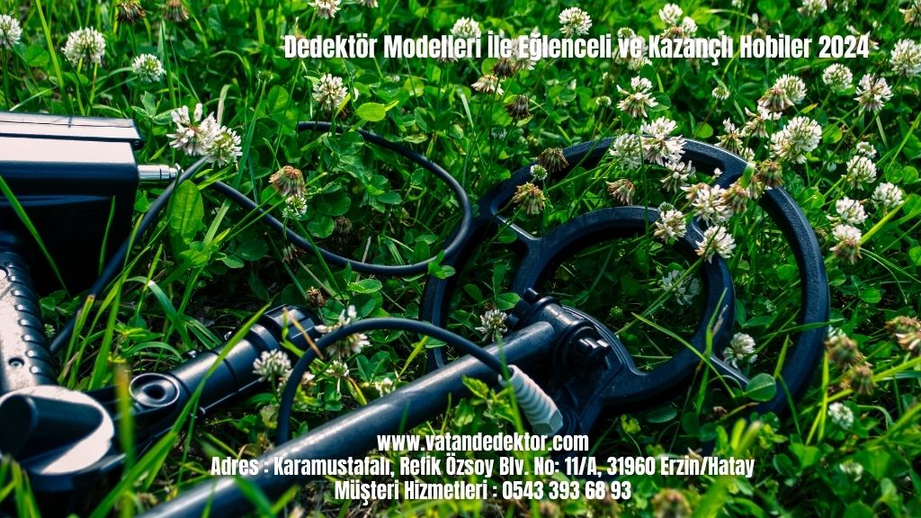Dedektör Modelleri İle Eğlenceli ve Kazançlı Hobiler 2024 4 Dedektör Modelleri İle Eğlenceli ve Kazançlı Hobiler 2024 (2)