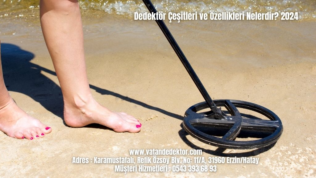 Dedektör Çeşitleri ve Özellikleri Nelerdir? 2024 4 Dedektör Çeşitleri ve Özellikleri Nelerdir 2024 (2)