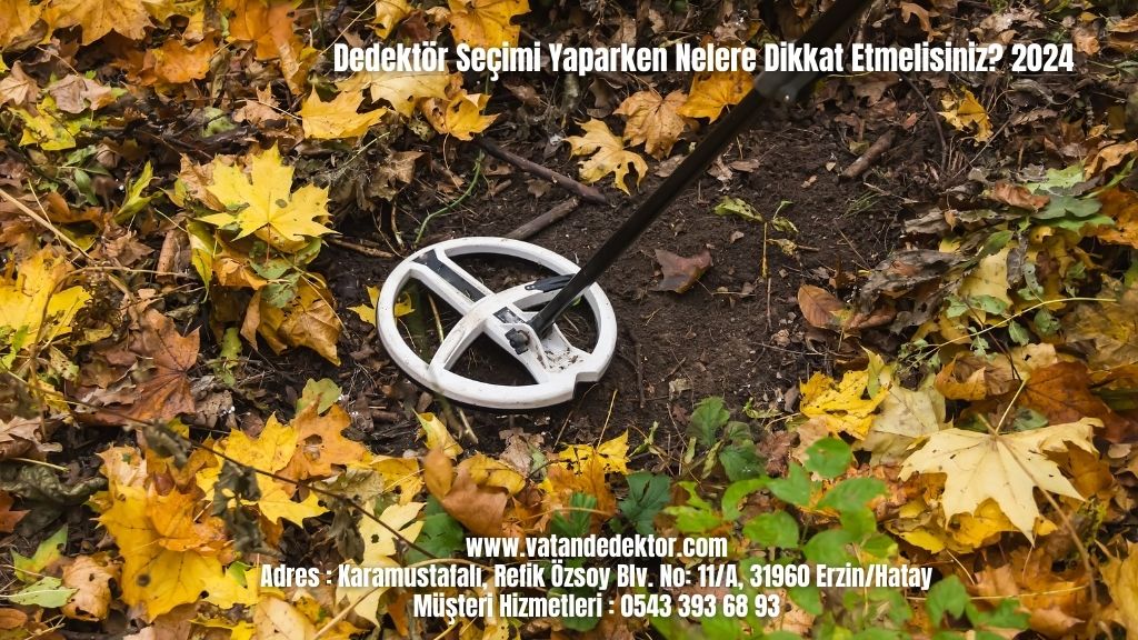 Dedektör Seçimi Yaparken Nelere Dikkat Etmelisiniz? 2024 4 Dedektör Seçimi Yaparken Nelere Dikkat Etmelisiniz 2024 (2)