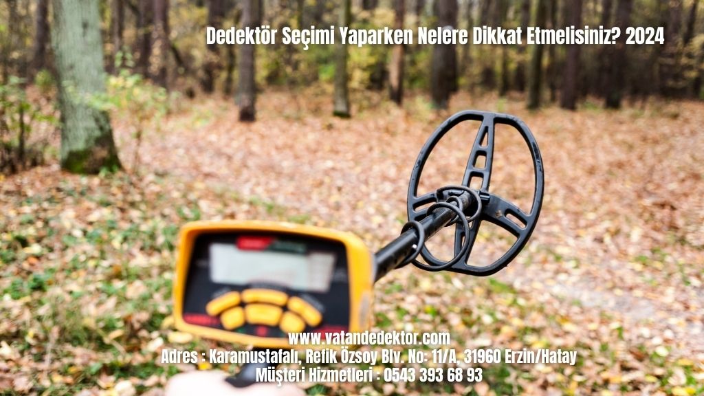 Dedektör Seçimi Yaparken Nelere Dikkat Etmelisiniz? 2024 6 Dedektör Seçimi Yaparken Nelere Dikkat Etmelisiniz 2024 (4)