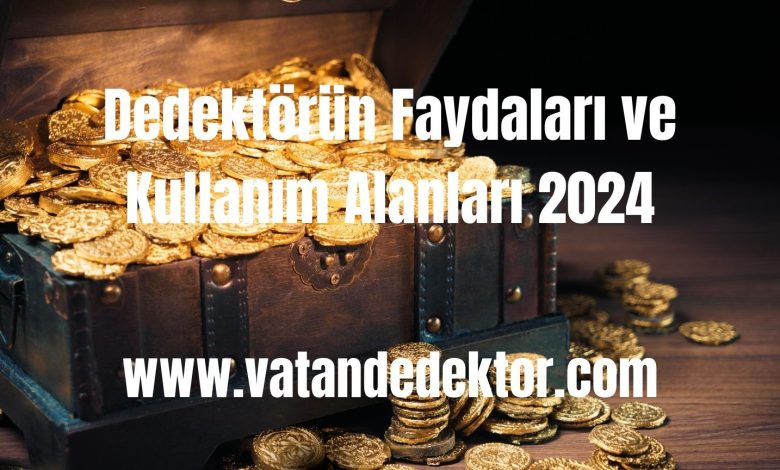 Dedektörün Faydaları ve Kullanım Alanları 2024 1 Dedektörün Faydaları ve Kullanım Alanları 2024