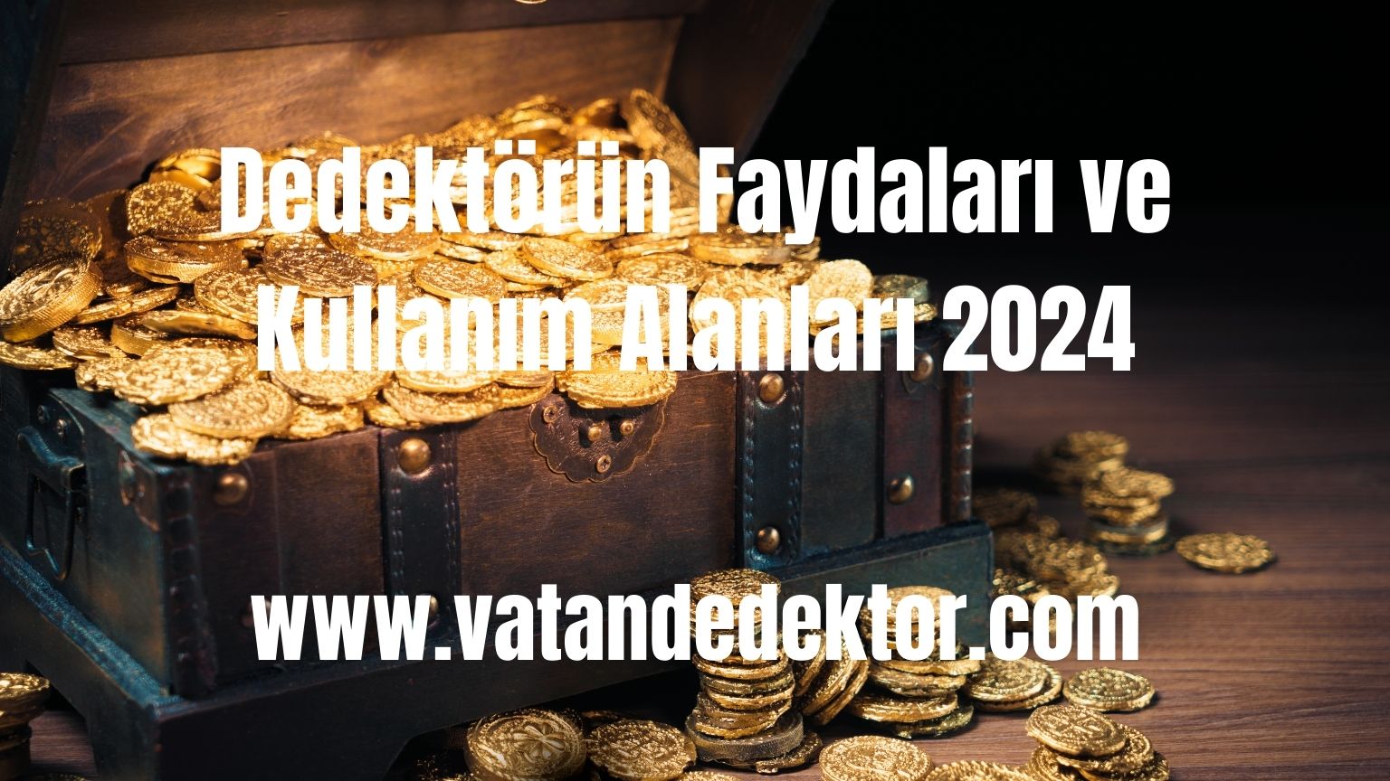 Dedektörün Faydaları ve Kullanım Alanları 2024 2 Dedektörün Faydaları ve Kullanım Alanları 2024