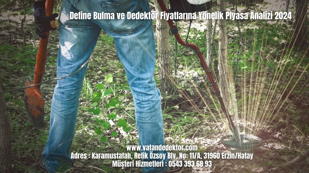 Define Bulma ve Dedektör Fiyatlarına Yönelik Piyasa Analizi 2024 2 Define Bulma ve Dedektör Fiyatlarına Yönelik Piyasa Analizi 2024
